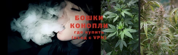 эйфоретик Каменка
