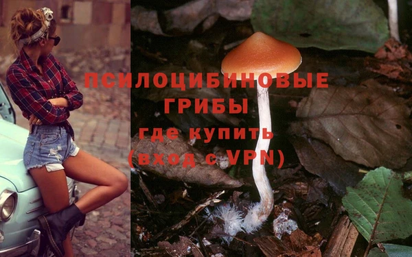 спиды Карталы