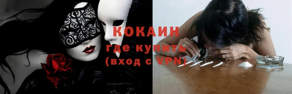 крисы Касимов