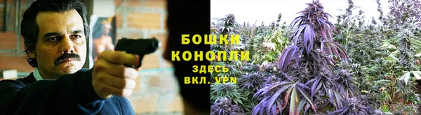 дмт Каменск-Шахтинский